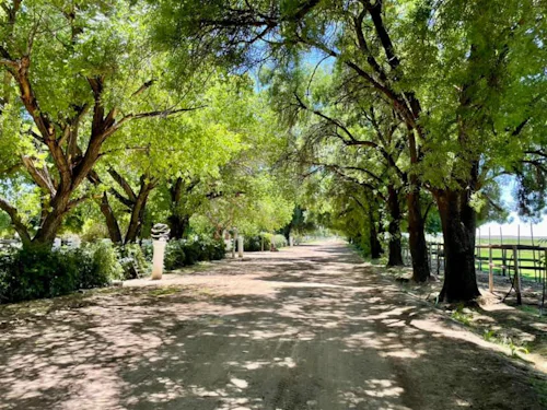 Featured Location